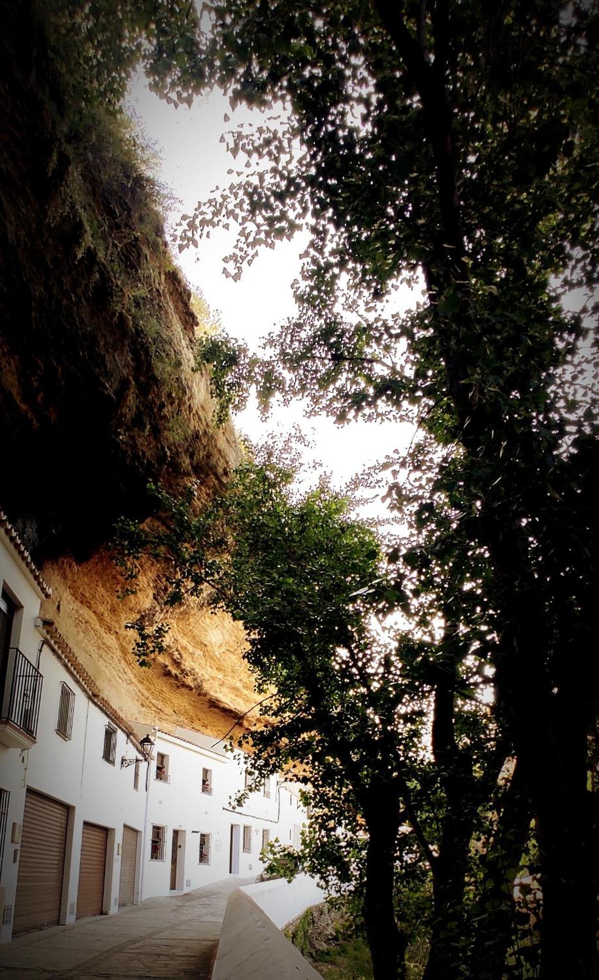 Casa Cueva Las Chicas Del Puente Setenil De Las Bodegas Exterior foto